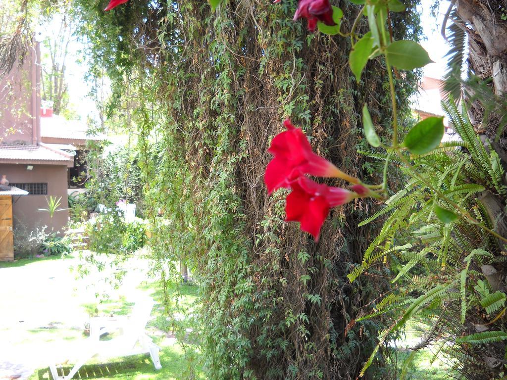 Hosteria Pascana San Salvador de Jujuy Exteriér fotografie